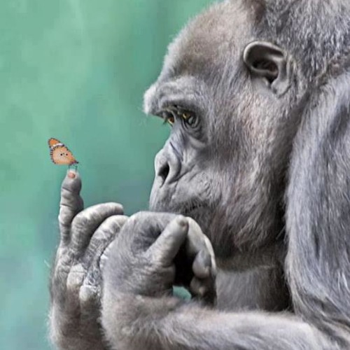 Eckhart Tolle - Judgment of Others