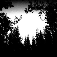 I Feel Nothing (demo)