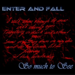 03 Enter And Fall - So much to see (Alternative Version)