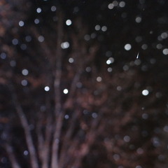 Have Yourself A Merry Little Christmas - Quentin Martiny x Aline