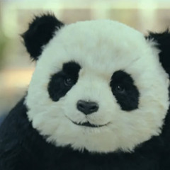 Dennis Martina - Doutzen Plays With A Panda In Africa