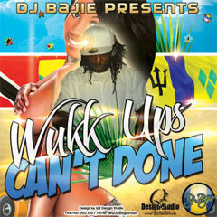 Dj Bajie Mix CD 2012