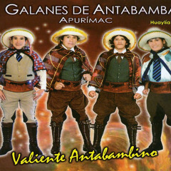 Ajicito Rocoto - Los Galanes de Antabamba -- (Huaylia 2011)