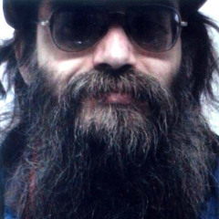 One Man And His Beard - General Hatsenbichler