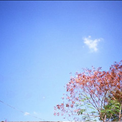 ไม่เคยไปเชียงใหม่ (Never been north)