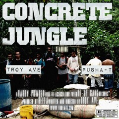 TROY AVE feat. PUSHA T - CONCRETE JUNGLE prod. by Reefa