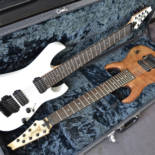 Stream Basswood vs. Mahagony 8String Comparison by Sludge Studios