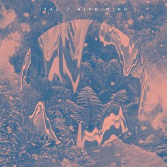 Ital - Hive Mind - First Wave *promo (Planet Mu)