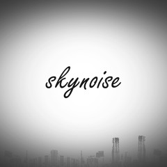 SkyNoise -What You've done to me(Original Mix)