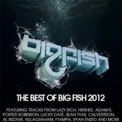 The Best of Big Fish 2012 Mixed By Zorastra
