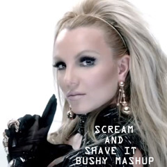 SCREAM AND SHAVE IT Mr.Bushy