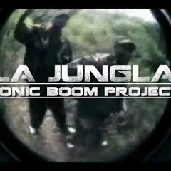 Flaco Flow & Melanina - La Jungla (Sonic Boom Project Remix)