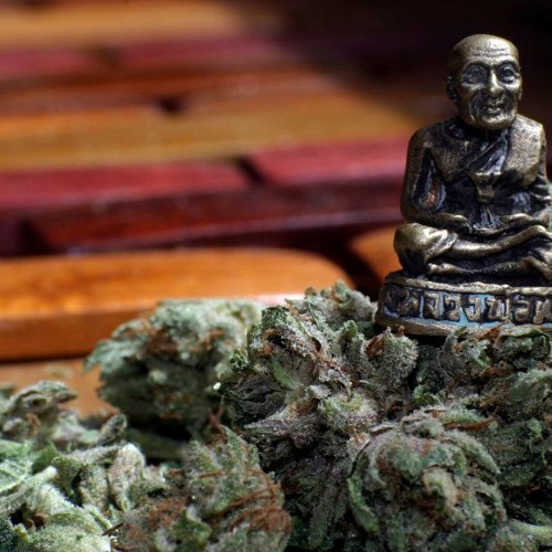 Cross my heart and hope to fly - Courteeners Cover - Download