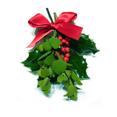 Mistletoe- T-Jay(Cover) Merry Christmas