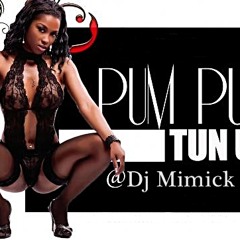 Remake Whine & koch (Pum pum tun up) By Dj Mimick