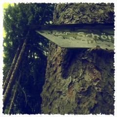 Reise.