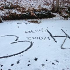 Home For Christmas Remix