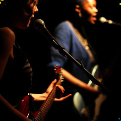 Cat Bear Tree - Masqueraders