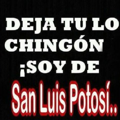 Los Halcones De San Luis - Quisiera Morir En San Luis Potosi.mp3