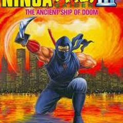 NINJA GAIDEN