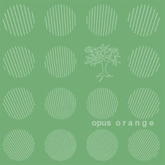 Opus Orange - That Is To Say (Remix by el_der)