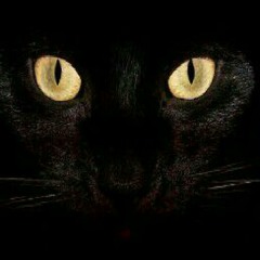 "Pipermim" [ albertolatorre.dj ]techno progressive (24/12/2012 ).