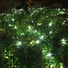 20121226mx sologuitar nylonstrings improvisation