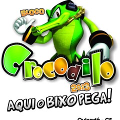 FUNK BLOCO CROCODILO - MC KATITA E ROGÉRIO-DJ FELIPE FERNANDES