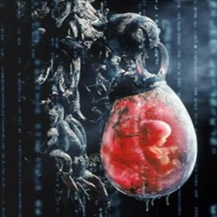 Adan - Campo de cultivo (Sin mezcla)