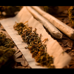 We Get High Remix ft Magnitude High