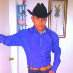 Las Once De La Noche-Los Indomables De Cedral_2011_.mp3