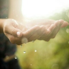 حسن العبادي