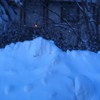 smallest on the earth at Peace River CoOp