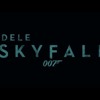 Adele - Skyfall (Shameless Remix) DOWNLOAD IN DESCRIPTION