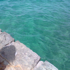 111.- Music is the vibe