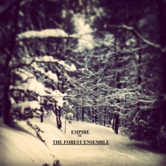 The Forest Ensemble (Original Mix)