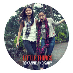 Little Things (One Direction) - Roxanne and Sary Cover