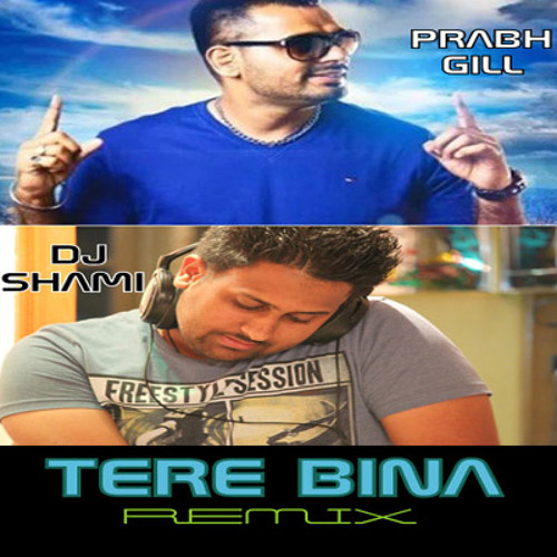 Tere Bina-DJ Shami ft. Prabh Gill