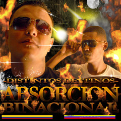Distintos Destinos - Absorcion