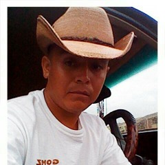 LOS PLEBES DE SAN LUIS  DE SANGRE MEXICANA.wmv.mp3