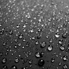 "Drizzle" for Tenor and Piano (2009)