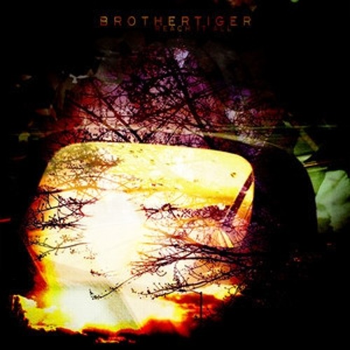 Brothertiger - Reach It All (Digits Remix)