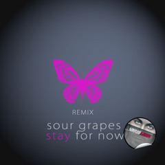 Sour grapes - Stay for now Nimrod Gabay REMIX (radio edit)