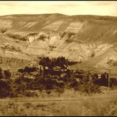 Sasık Şamil - Kafe