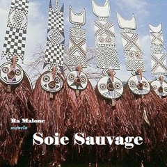 Soie Sauvage Mixtape (disco/boogie/garage)