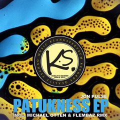 Pulse - Patukness (Demo) [Klangspektrum Records]