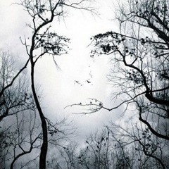 Atlas Trojans in my head remix type deal