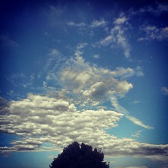 DisObey - I Cant Sleep