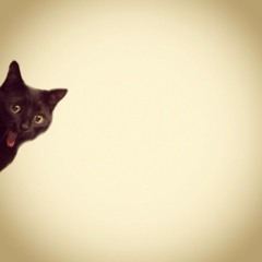 DubKitteh - Bangin