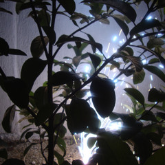 Gru (Ddrr-original Mix demo version)